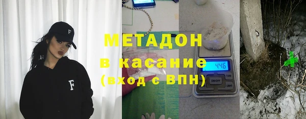 индика Алзамай