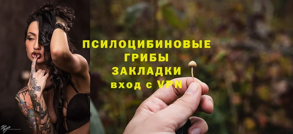 индика Алзамай