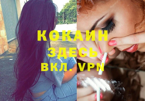 индика Алзамай