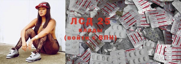индика Алзамай
