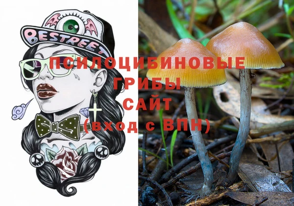 индика Алзамай