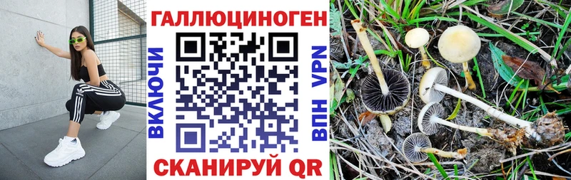 Псилоцибиновые грибы GOLDEN TEACHER  где продают наркотики  Оханск 